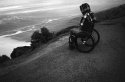 Solace