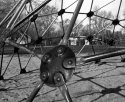Junglegym