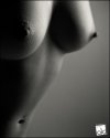 The very begining of pregnancy
