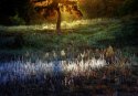 Some autumn photos