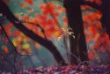 Some autumn photos