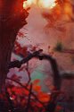 Some autumn photos