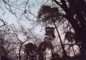 Some autumn photos
