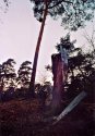 Some autumn photos