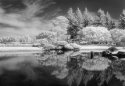 Lethbridge Japanese Gardens