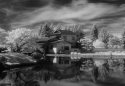 Lethbridge Japanese Gardens 1