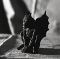 Gargoyle Exposure 12