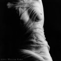 Beth - Homage to Ruth Bernhard
