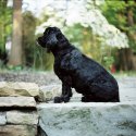 Evrett in profile
