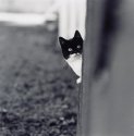 Shy but curious