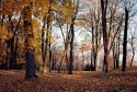 Late autumn glow