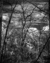 Untitled (for now)