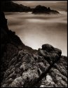 the cove