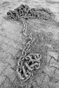The Chain