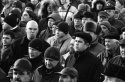 img342 -
