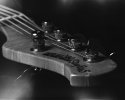 stingray bass 5 0004 copy