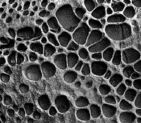 Beach rocks, Cambria, CA.