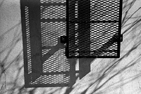 cv 50/2.5 color skopar