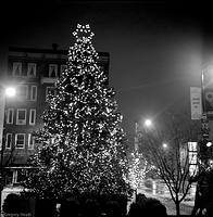 I wish I had never been born...