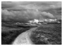 Vosges - revisited