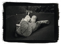 Wheelbarrow w/wood at Shotpouch Creek