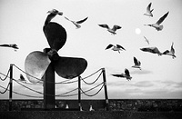 The Moon, turbine and seagulls.