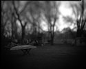 First morning light of 2012