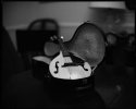 Mandolin