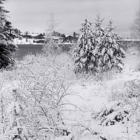 First real winter day