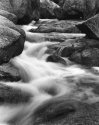 Frog's Hollow creek
