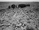 Mesa, Chaco Canyon