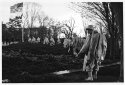 Tri-X & Diafine - photos at EI 800 and 1600