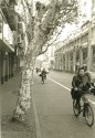 Street of music stores