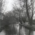 Wiedau III