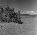 At the Edge of the Earth