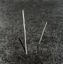 Two sticks