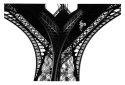 Eiffel Bird