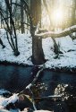Snowy Light