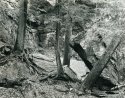 Wedge Rock Canyon
