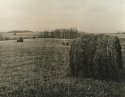 Out On The Farm