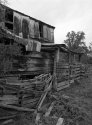 Still Standing 2