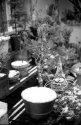 First encounter with ORWO film