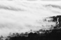 View from Carlow Hills.