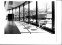 Rodinal and UN54