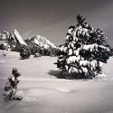 Moonlight on the Flatirons