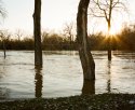 The Flood Cometh