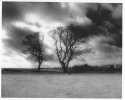 Waiting for the tide