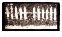 (Gap-toothed) Fence