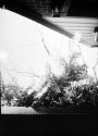 planter