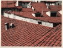 Rooftops, Florence, Italy (hand-colored)